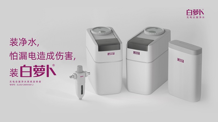 白萝卜-配图2 (2).jpg