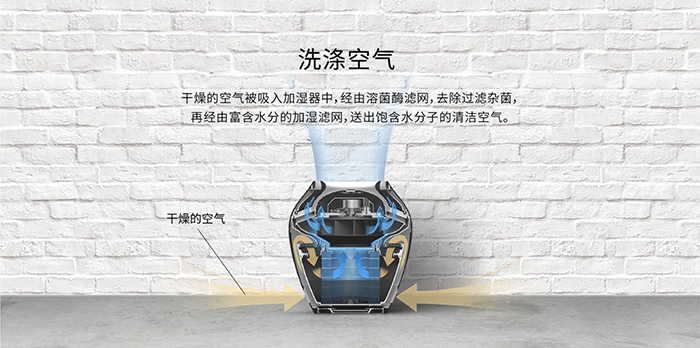 巴2.jpg