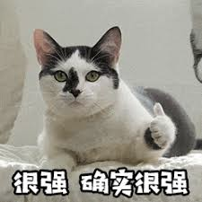 image005.png